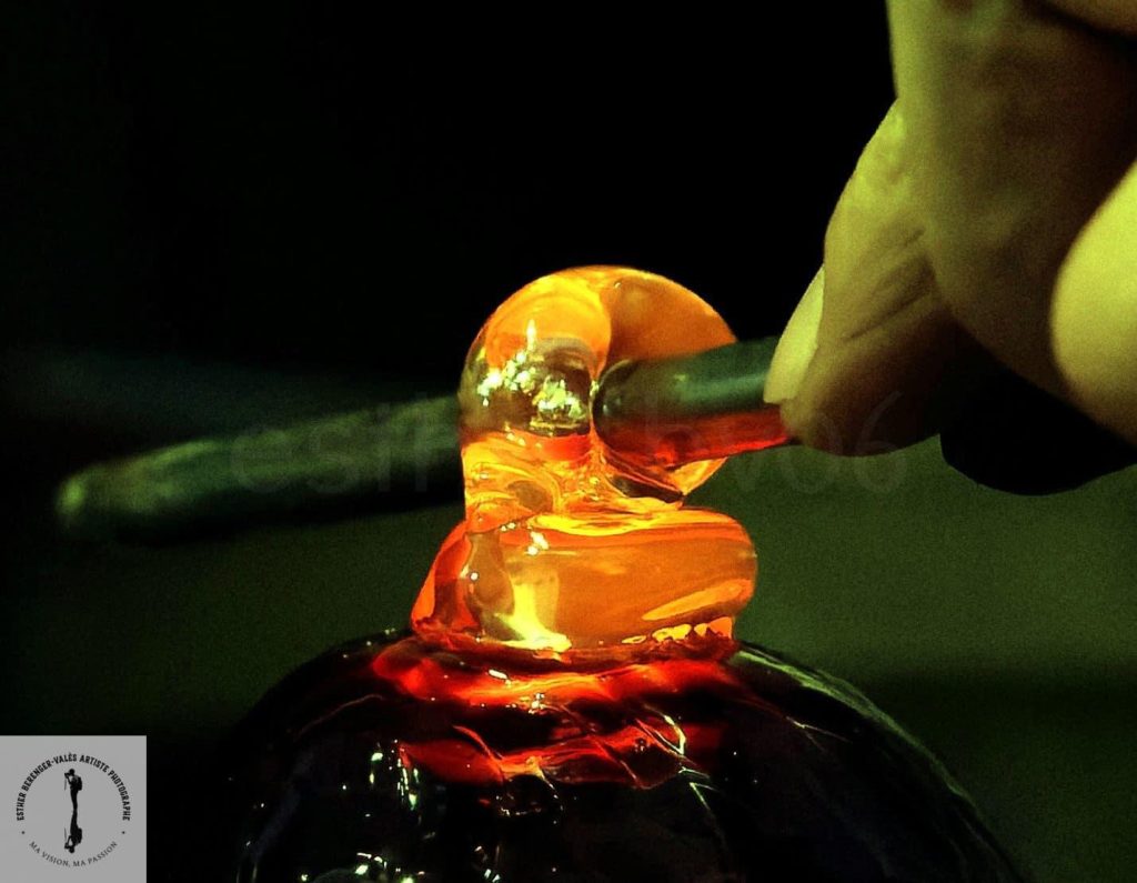 photographie sélective d'une bouteille en verre avec une fleur
