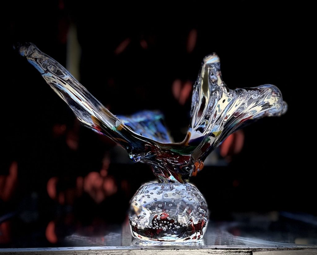 Le cours alterne démonstrations, pratique encadrée